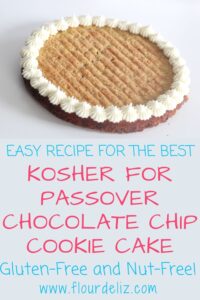Kosher for Passover Chocolate Chip Cookie Cake Pin.
