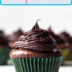 Pinterest pin of a close up of a chocolate mint cupcake with more cupcakes blurred in the background.