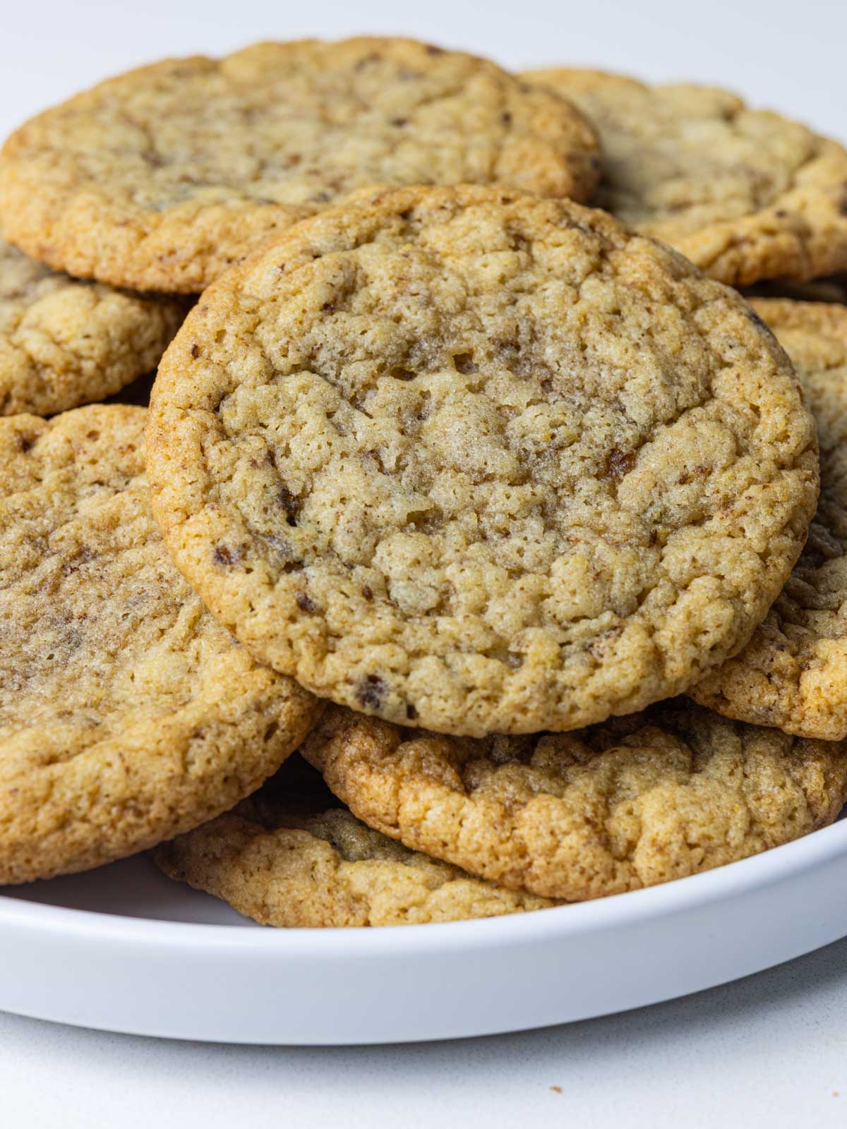 A close up of a batch of chocolate chipless cookies on a round white plate with the plate of cookies going out of frame on both sides.